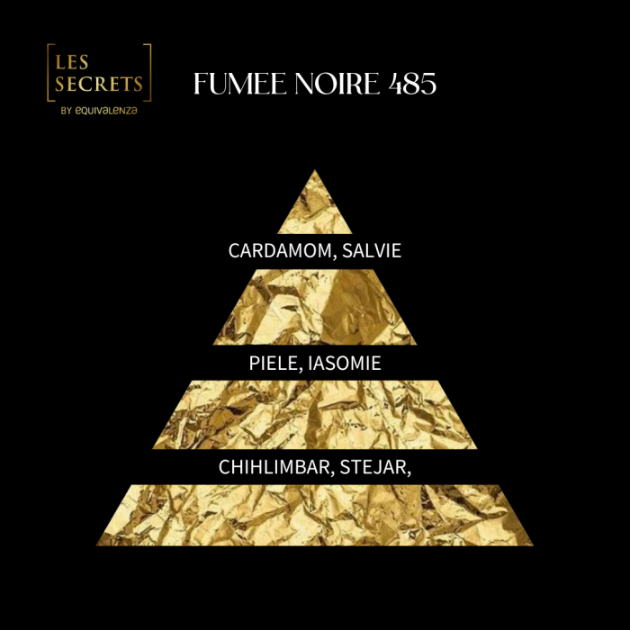 Apa de Parfum Les Secrets 485 Fumee Noire, 100 ml [2]