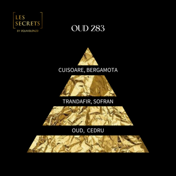 Apa de Parfum Les Secrets 283 Oud, 50 ml [2]