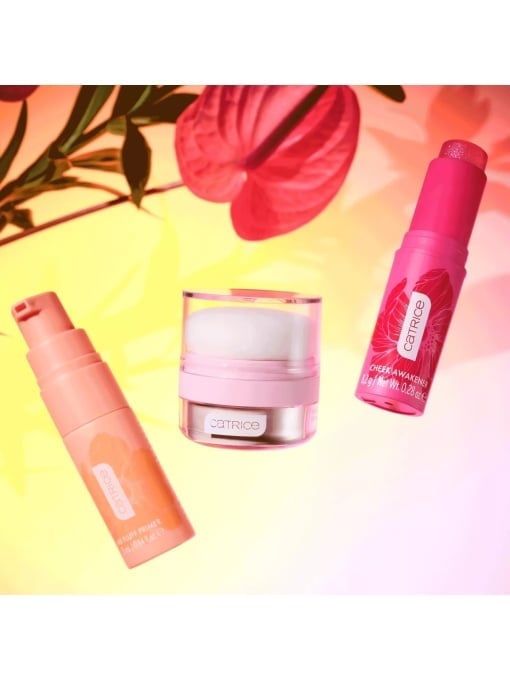 Blush iluminator stick SPRING AWAKENING Cheek Awakener C01, 8.2 g, Catrice [5]