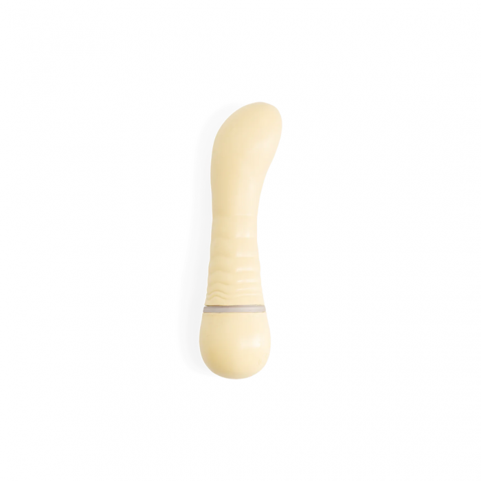 Friday Bae - Vibrator punct G [2]