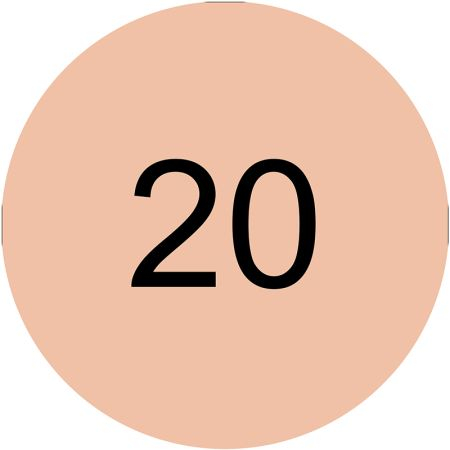 Anticearcan Essence COVERstick 20, 6 g [2]