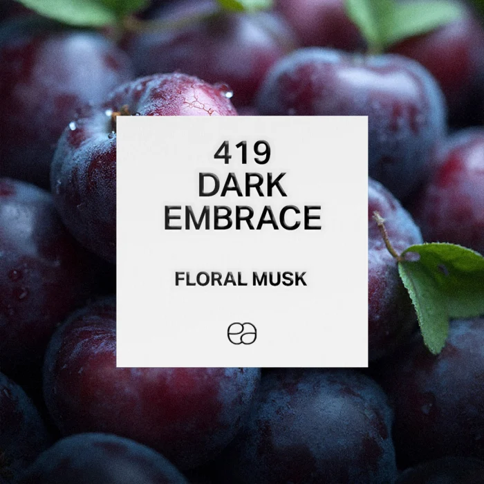 Dupe MUSC NOIR Narciso Rodriguez. Apa de Parfum 419, Femei, Equivalenza, 100 ml [1]