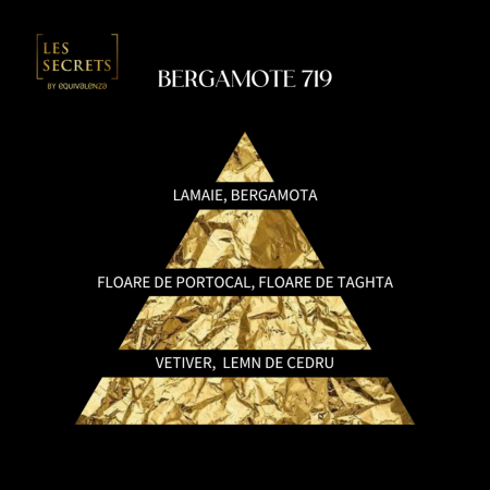 Apa de Parfum Bergamote 719 Les Secrets, Unisex 100ml [1]