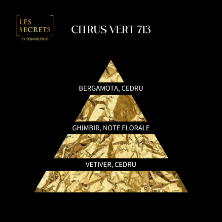 Apa de Parfum Les Secrets 713 Citrus Vert, 100 ml [1]