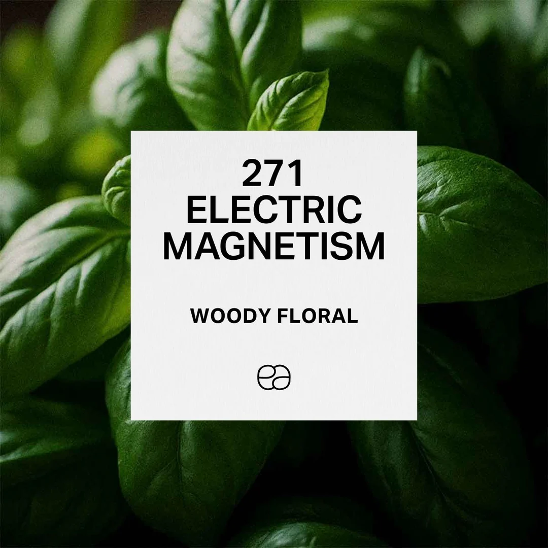 Apa de Toaleta 271 Electric Magnetism, Barbati, 100 ml, Equivalenza [1]