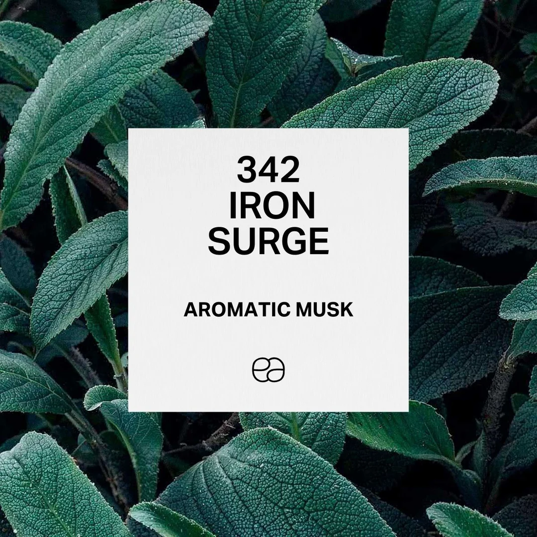 Apa de Toaleta 342 Iron Surge, Barbati, 50 ml, Equivalenza [1]