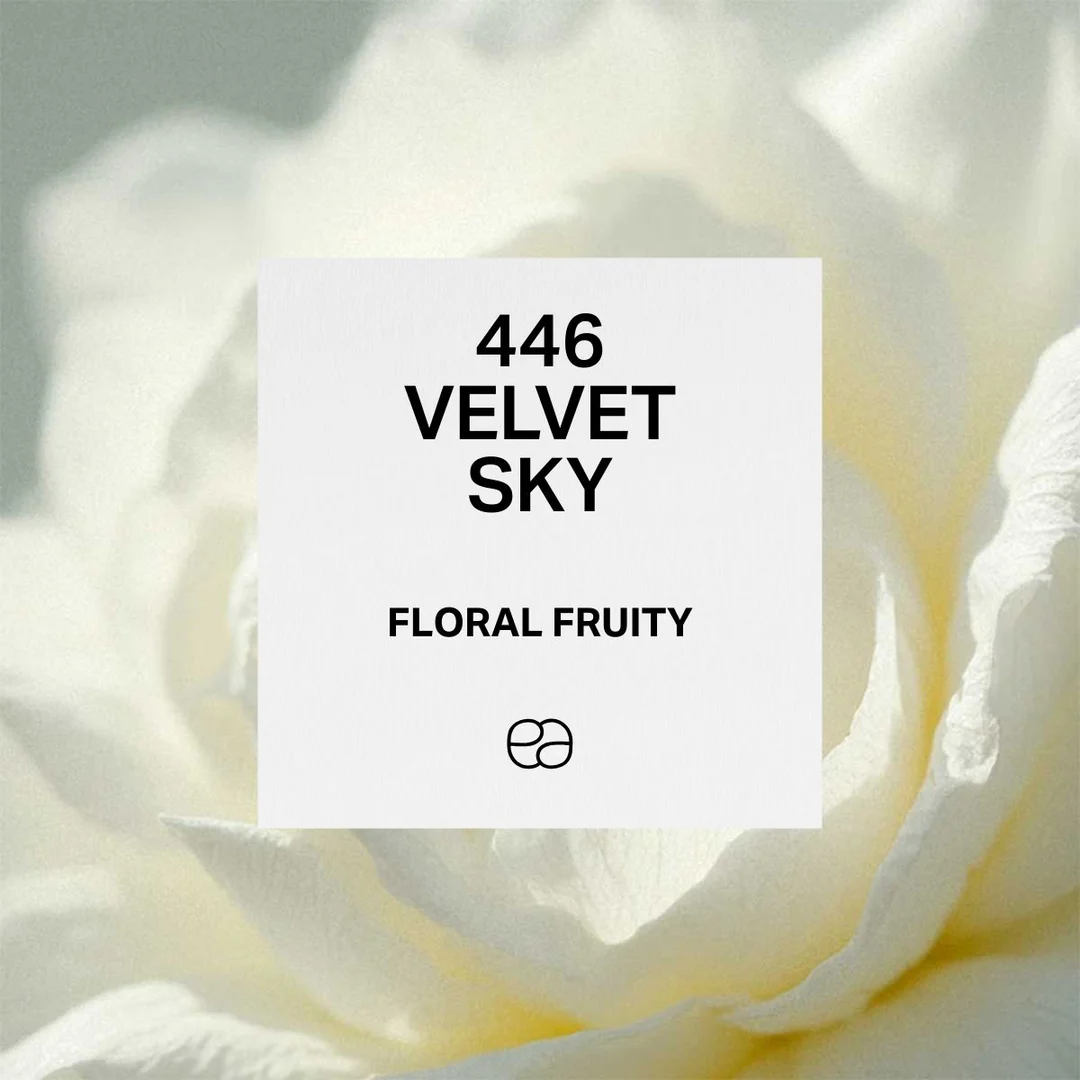 Apa de Toaleta 446 Velvet Sky, Femei, 30 ml, Equivalenza [1]