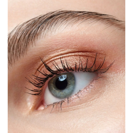 Fard pentru pleoape Art Couleurs Eyeshadow 440 - Bronze Bliss, 2 g, Catrice [4]