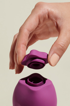 Vibrator pentru clitoris The Poet, SmileMakers [4]