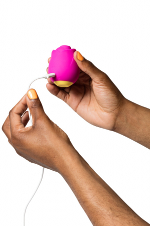Vibrator Rose, Romp [6]
