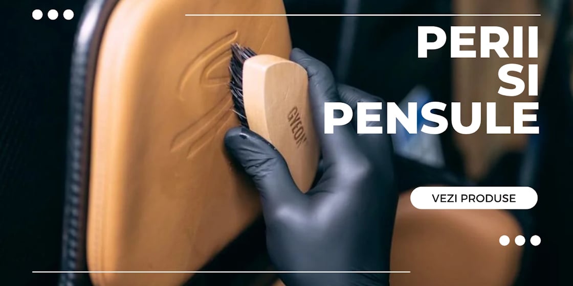 perii si pensule
