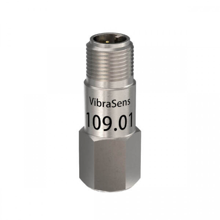 Accelerometru compact 109.01