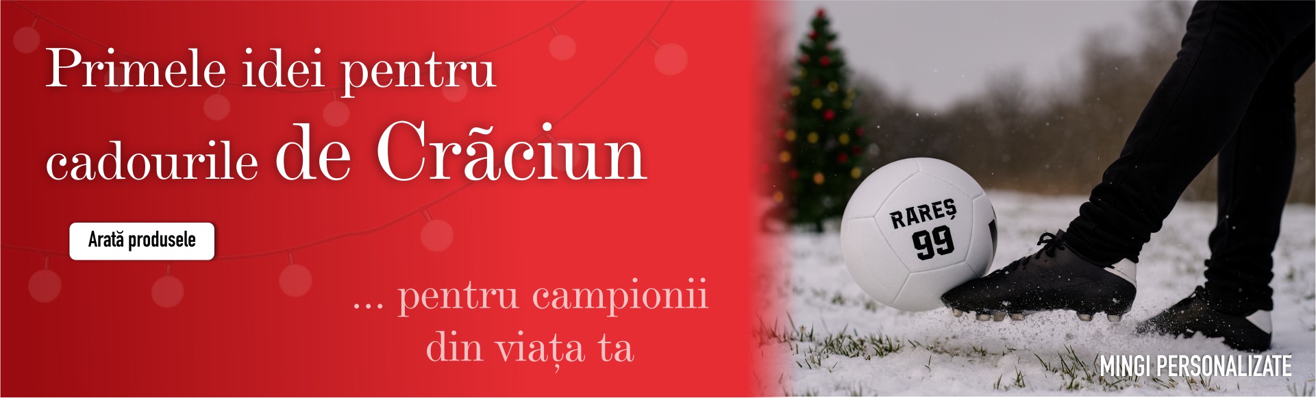 Idei Cadouri Craciun