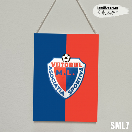Viitorul M.L. - Fanion Asociatia Sportiva Viitorul M.L. SML7