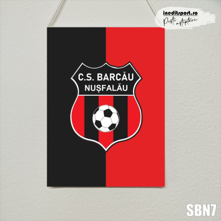 C.S.Barcau Nusfalau - Fanion C.S. Barcău Nușfalău SBN7