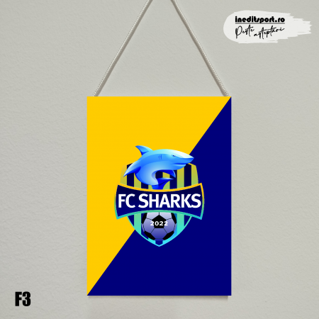 Fanion PERSONALIZAT Cluburi Sportive F3 [3]