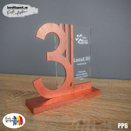 Cadouri Sportive - Trofeu Personalizat Locul 3 PP6