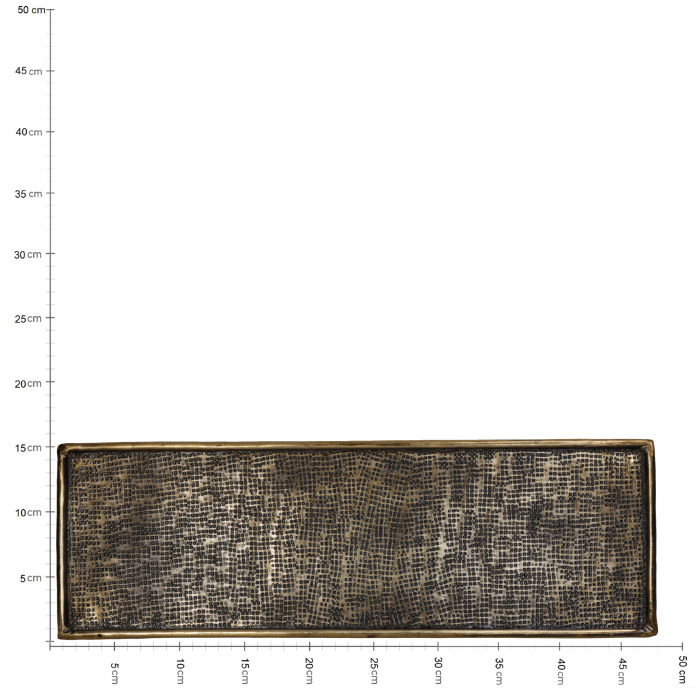 Taviță pentru service, metal auriu, 1x16x48cm - PLATE [4]