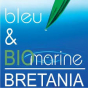 bleu&marine Bretania