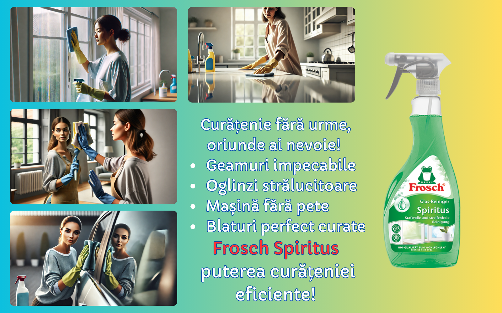 Solutie geamuri Frosch Spiritus