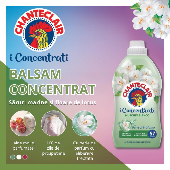 Balsam Chanteclair 1140 ml – Mosc Alb, până la 57 spălări [2]