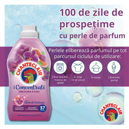 Balsam Chanteclair 1140 ml – Orhidee & Smochine, 57 Spălări [2]