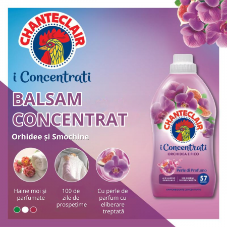 Balsam Chanteclair 1140 ml – Orhidee & Smochine, 57 Spălări [1]