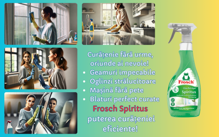 Frosch Spiritus 500 ml – Soluție Ecologică pentru Geamuri Fără Urme [1]