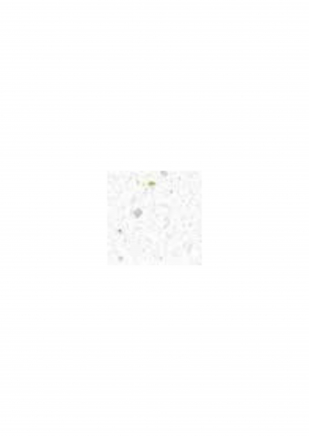 Gard din beton - MAESTRALE [3]