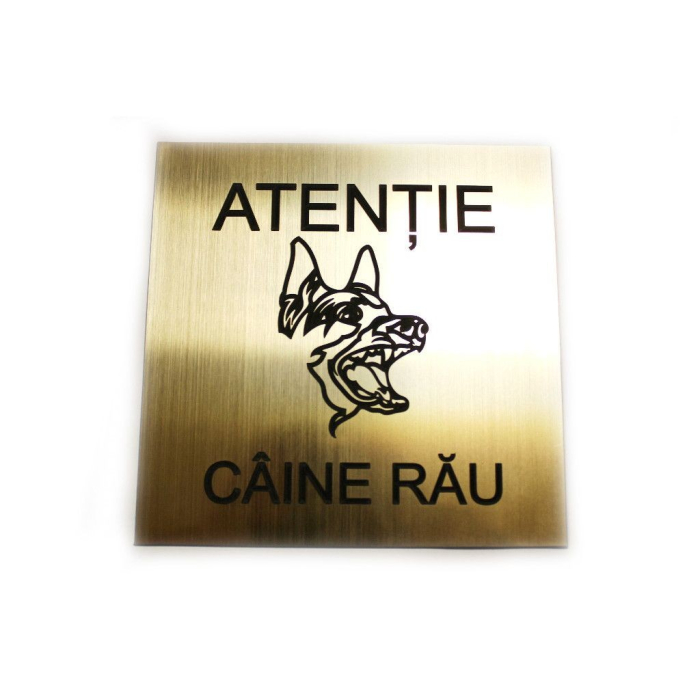Placuta gravata Caine Rau [2]