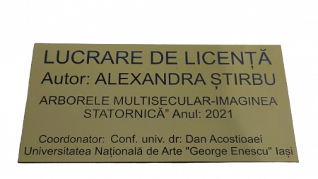 PRODUSE GRAVATE - Placuta gravata lucrare licenta