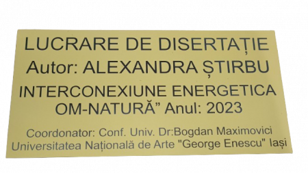 PRODUSE GRAVATE - Placuta gravata lucrare disertatie