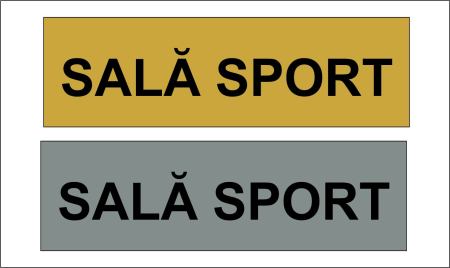 Placute gravate usi - Placuta gravata usa " SALA SPORT "