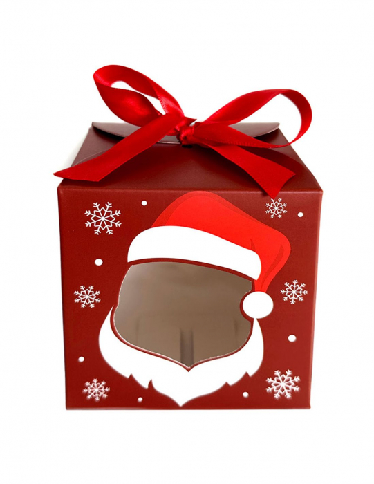 Cutie cani Craciun cu funda rosie [1]