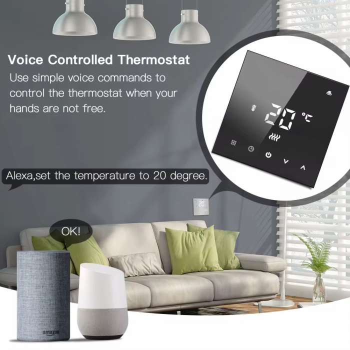 Termostat WIFI 607 [3]