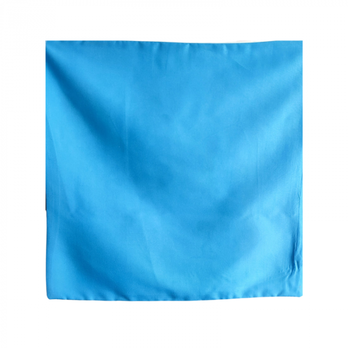 Invincible Frog Cushion Cover [3]