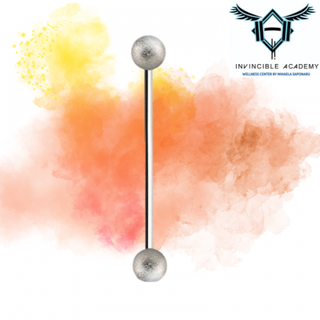 Ear Piercing - Piercing Industrial - Silver