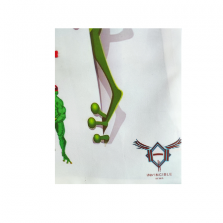 Invincible Frog Cushion Cover [1]