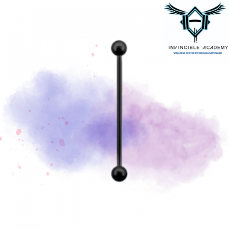 Ear Piercing - Industrial Piercing - Black
