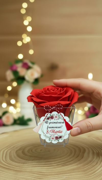 Cadou 8 Martie Trandafiri din Sapun [3]
