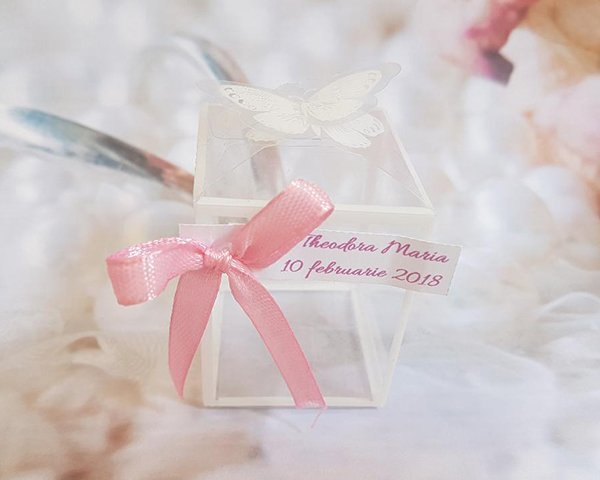Cutie fluture (model transparent) [2]