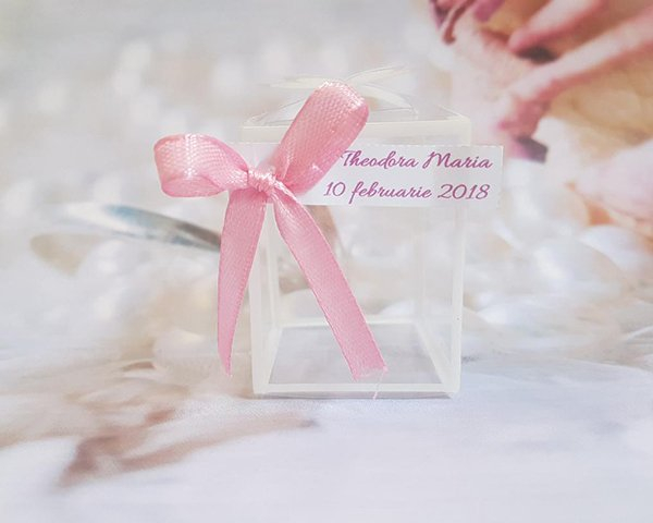 Cutie fluture (model transparent) [1]