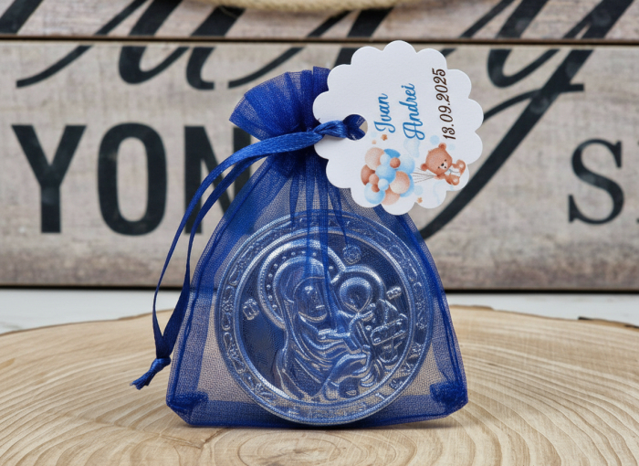 Iconita magnetica TEDDY [2]