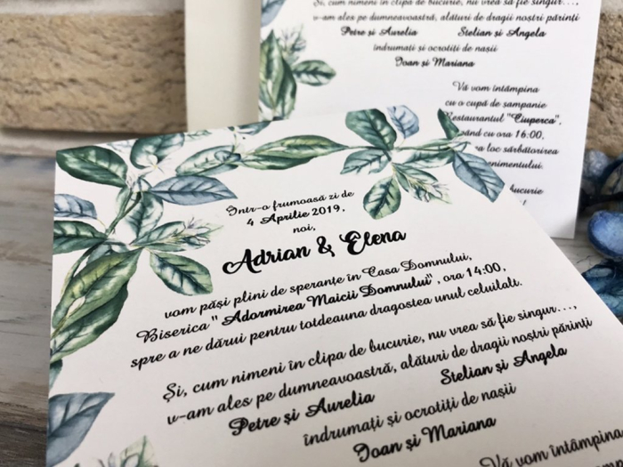 Invitatie Frunze de Maslin [4]
