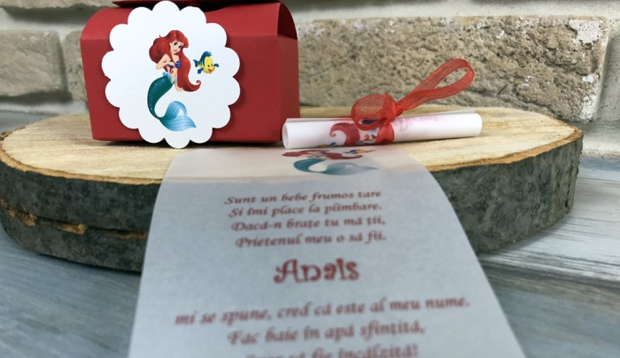 Invitatie vesela cu Micuta Sirena [3]