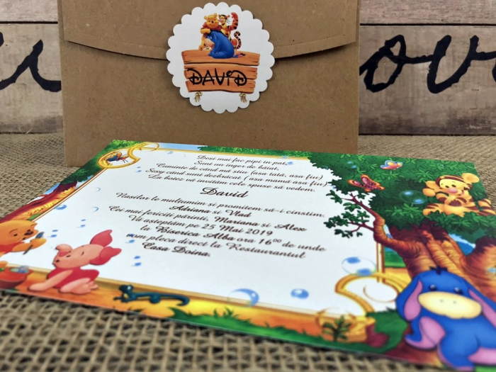 Invitatii petrecere copii - Winnie (model craft) [5]