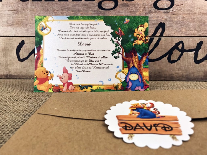 Invitatii petrecere copii - Winnie (model craft) [6]