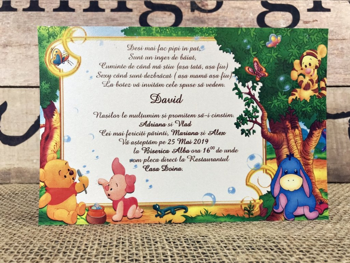 Invitatii petrecere copii - Winnie (model craft) [2]