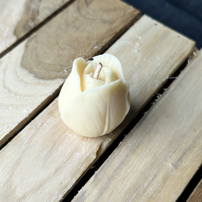 MĂRTIȘOR Lumanare Lalea [2]