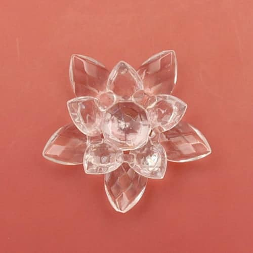 Floare de Lotus [2]